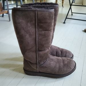 Tall Chocolate Brown Uggs